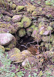 MacGregor Point Provincial Park