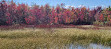 MacGregor Point Provincial Park