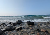 Craigleith Provincial Park