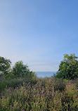 Craigleith Provincial Park