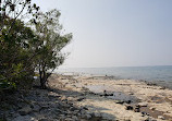 Craigleith Provincial Park