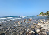 Craigleith Provincial Park