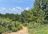 Albany Pine Bush Preserve