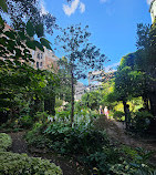 Jardín Botánico 6BC