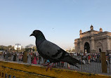 Colaba Causeway