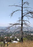 Griffith Park