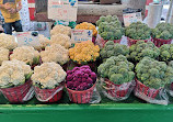 Mercato Jean Talon