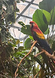 Biodôme de Montréal