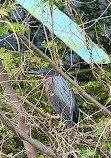 Bethany Lakes Park