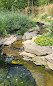 Bailey Arboretum