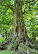 Bailey Arboretum