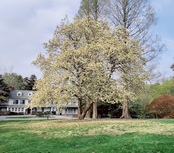 Bailey Arboretum