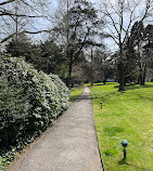 Bailey Arboretum