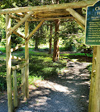 Bailey Arboretum