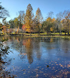 Bailey Arboretum