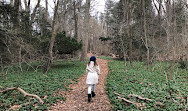 Bailey Arboretum