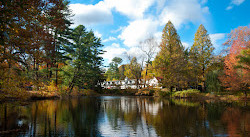 Bailey Arboretum