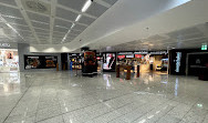 Milan Malpensa Airport