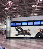 Milan Malpensa Airport