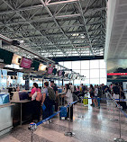 Milan Malpensa Airport