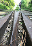 Petite Ceinture