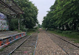 Petite Ceinture