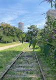 Petite Ceinture