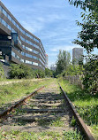 Petite Ceinture