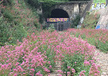 Petite Ceinture