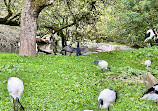 Bird Park Heiligenkirchen