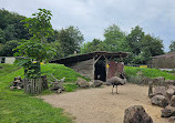 Bird Park Heiligenkirchen