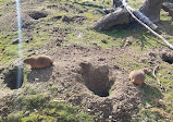 Bird Park Heiligenkirchen