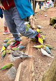 Bird Park Heiligenkirchen