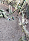 Bird Park Heiligenkirchen