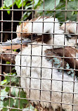 Bird Park Heiligenkirchen