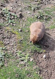 Bird Park Heiligenkirchen