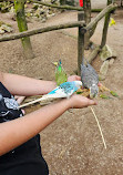 Bird Park Heiligenkirchen