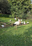 Bird Park Heiligenkirchen