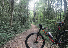 Bosque do Barigui