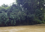 BangKaew Elephant Camp