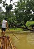 BangKaew Elephant Camp