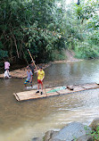 BangKaew Elephant Camp