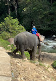 BangKaew Elephant Camp