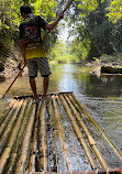 BangKaew Elephant Camp