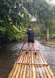 BangKaew Elephant Camp