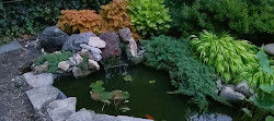 Jardín de loto