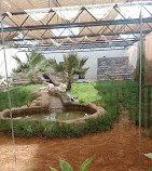 Riyadh Zoo