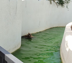 Riyadh Zoo