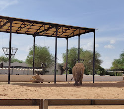 Riyadh Zoo