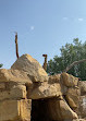 Riyadh Zoo